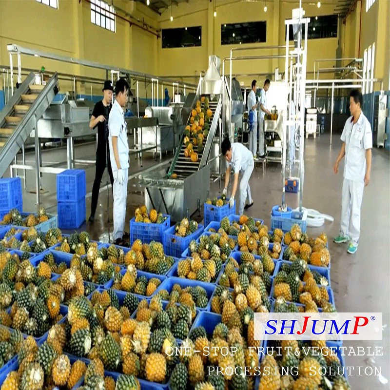 Pineapple Juice Processing Line