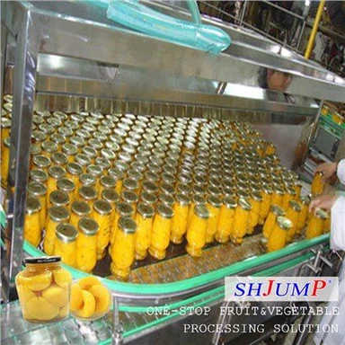 Canned Peach Processing Line