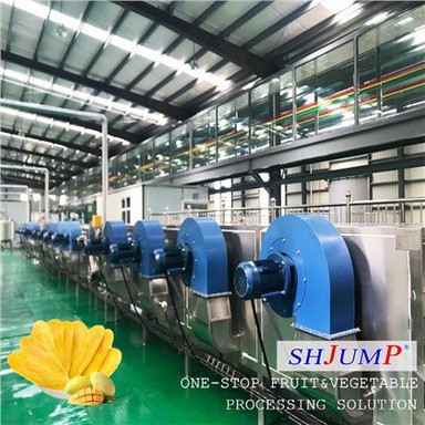 Dried Mango Processing Line