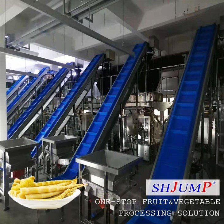 Bamboo Shoot Processing Line