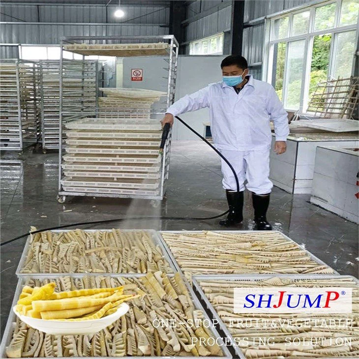 Bamboo Shoot Processing Line