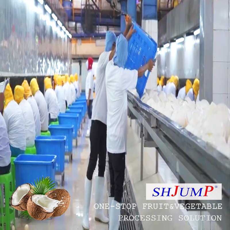 Coconut Juice Processing Line