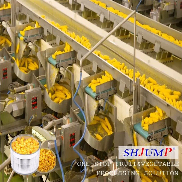Corn Processing Line