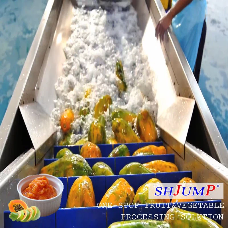 Papaya Puree Processing Line