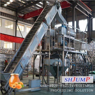 Apricot Puree Processing Line