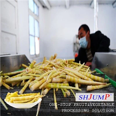 Bamboo Shoot Processing Line