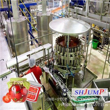 Canned Tomato Processing Line