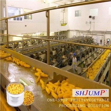 Corn Processing Line