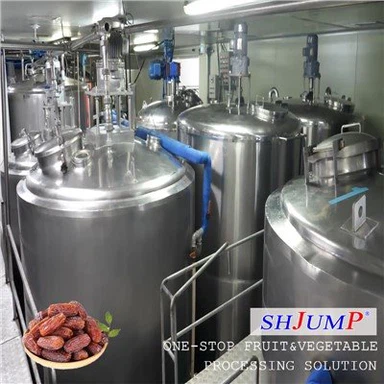 Date Syrup Processing Line