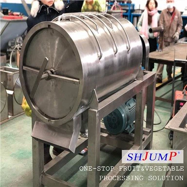 Fruit Destoning Machine