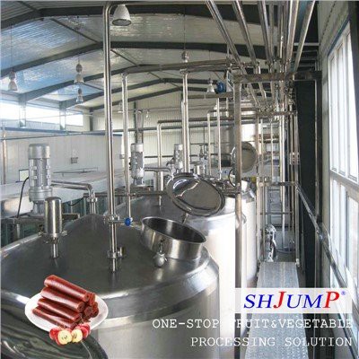 Fruit Leather Processing Line