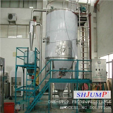 Fruit Powder Spray Drying Machine
