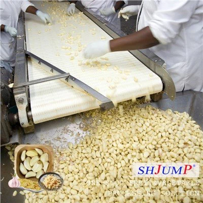 Garlic Processing Line