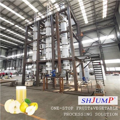 Pear Juice Processing Line