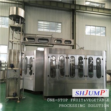 Rotary Filling Machine