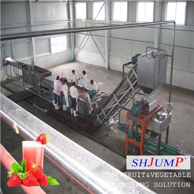 Strawberry Juice Processing Line