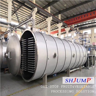 Vacuum Freeze Drying Machine