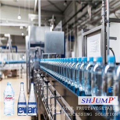Purified Water Processing Line