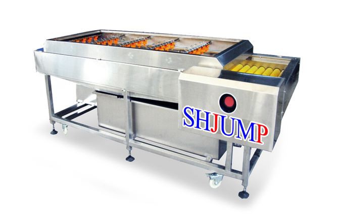 Vegetable and Fruit Cleaner Machine