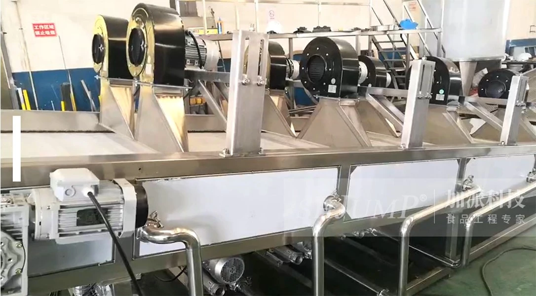 Mango Washing Peeling Slicing Drying Solution Mango Washing Peeling Slicing Drying Solution