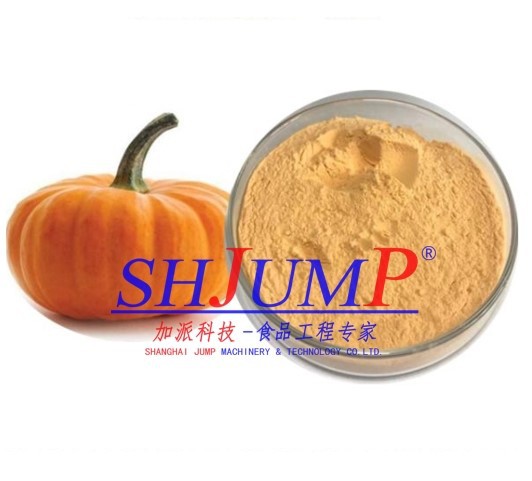 pumpkin powder
