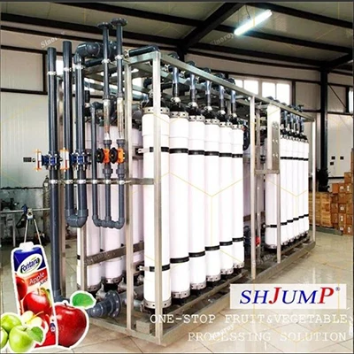 Apple Juice Extraction Processing Line
