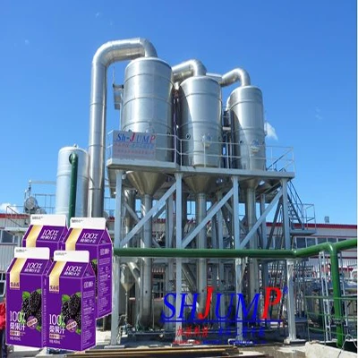 Mulberry Juice Production Line
