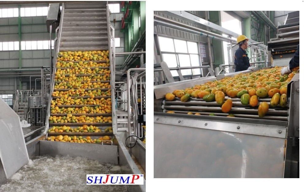 mango wash platform machine mango wash platform machine