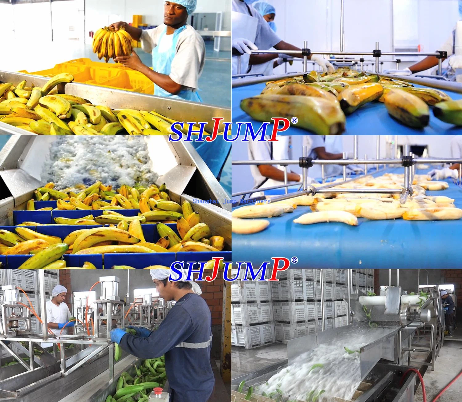 banana banana