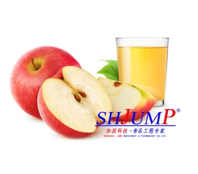 Apple Juice Extraction Processing Line
