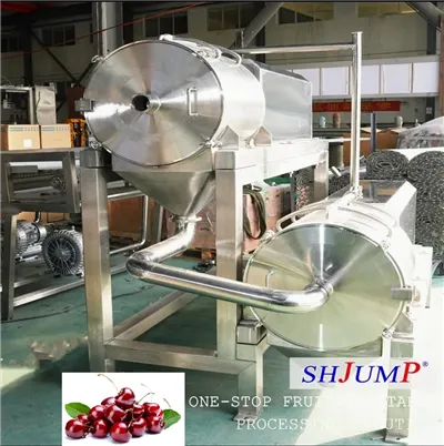 Fruit Pulp Processing Machinery