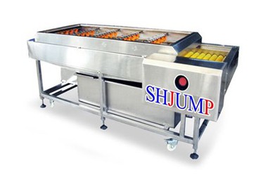 Vegetable and Fruit Cleaner Machine