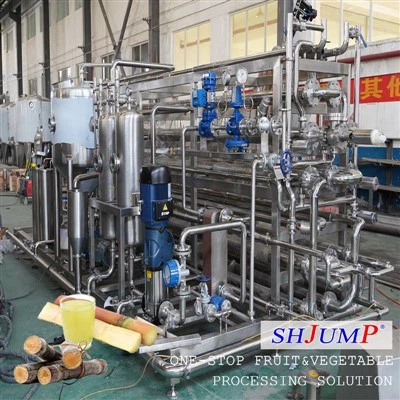 Sugarcane Product Processing Line